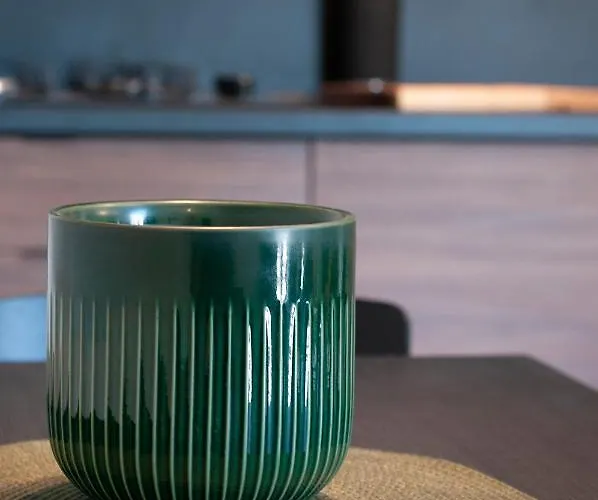 아파트 Centar Baba S 풀라